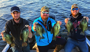 image of 6 big crappies