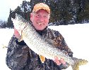 Link to Lake Trout Picture