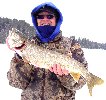 link to Lake Trout Wheeler