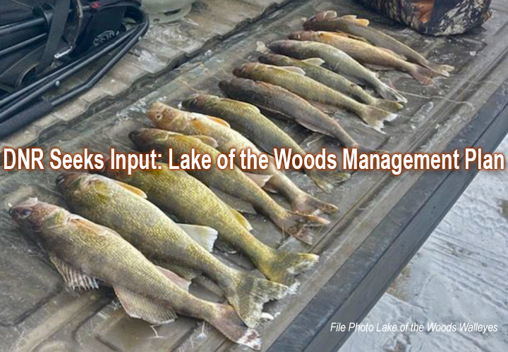 image of walleyes stacked up the tailgate of pickup truck