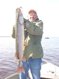 image of jerry volkert with big northern pike