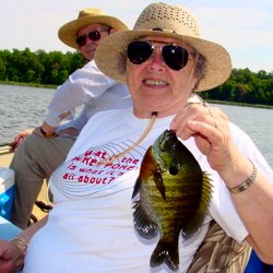 Bluegill, Betty Hanus 7-23-06