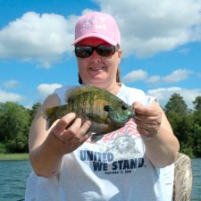 Bluegill Karen Hergaard August 2009