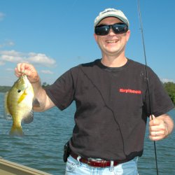 Bluegill 8-18-08 David Allan