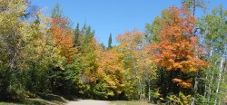 Northern Minnesota Fall Color Arrives