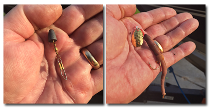 image of little joe spinner rigged for weed walleye