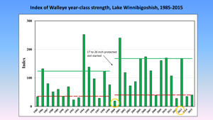 image of walleye year class chart