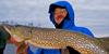 image links to article about northern pike