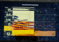 image of humminbird showing crappie school