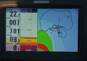 image of Walleyes on humminbird screen