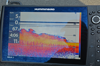 image of eelgrass on Humminbird Screen