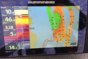 image of hummind helix using Auto Chart