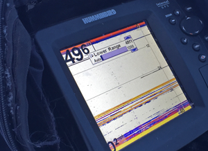 image of crappies on humminbird graph