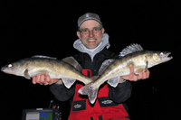 image links to article about pre-spawn walleye