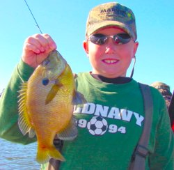 Bluegill, Allen Knox 10-4-06