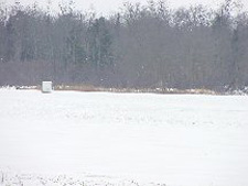 Ice Cover Moose Lake 2003