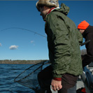 Walleye Action Matin Wiesner