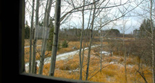 Deer Stand View