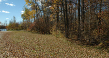 Fall Colors 10-1-2010