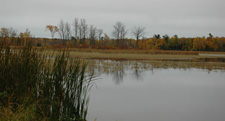 Fall Color 9-28-2010