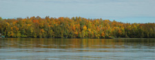 Colors Fall Trees Deer River MN