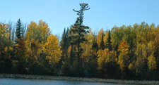 Autumn Colors 9-26-10 Minnesota