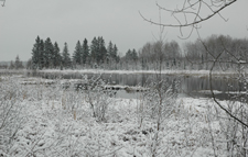 Snow Deer River November 2010