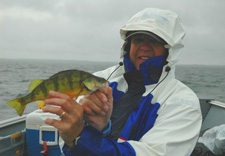 Bruce Champion Jumb Perch September 2010