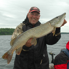 Northern Pike Sundin