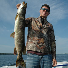 August Manzardo Northern Pike 