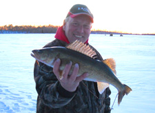 Walleye On Ice