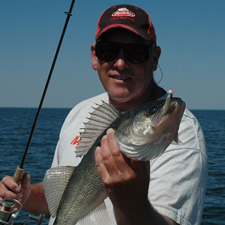 Ripple Shad Walleye