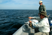 Walleye Action Lake Winnie