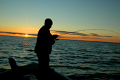 Walleye Action Lake Winnie