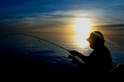 Walleye Fishing Action