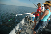 Walleye Action Lake Winnie