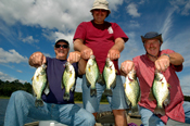 Crappies Bowstring Lake