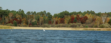 Fall Colors Williams Narrows Resort