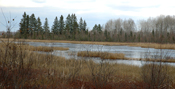 Deer River Frozen Pond 
