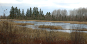 Deer River Frozen Pond