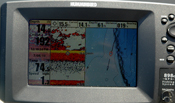 Humminbird 898 Walleye and Baitfish