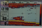 Humminbird Shows Insect Larvae