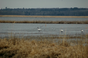 Ice Out Deer River Little White Oak  4-23-11