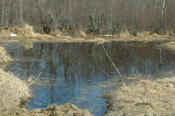 Lake Kathryn Deer River MN