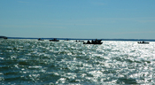 Leech Lake Boat Traffic