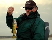 Perch Fishing Deer River