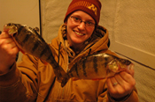 Jumbo Perch Deer River MN