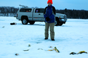 Perch Cass Lake Will