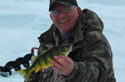 Perch Leech Lake