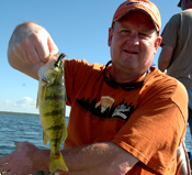 Cass Lake Perch Fishing